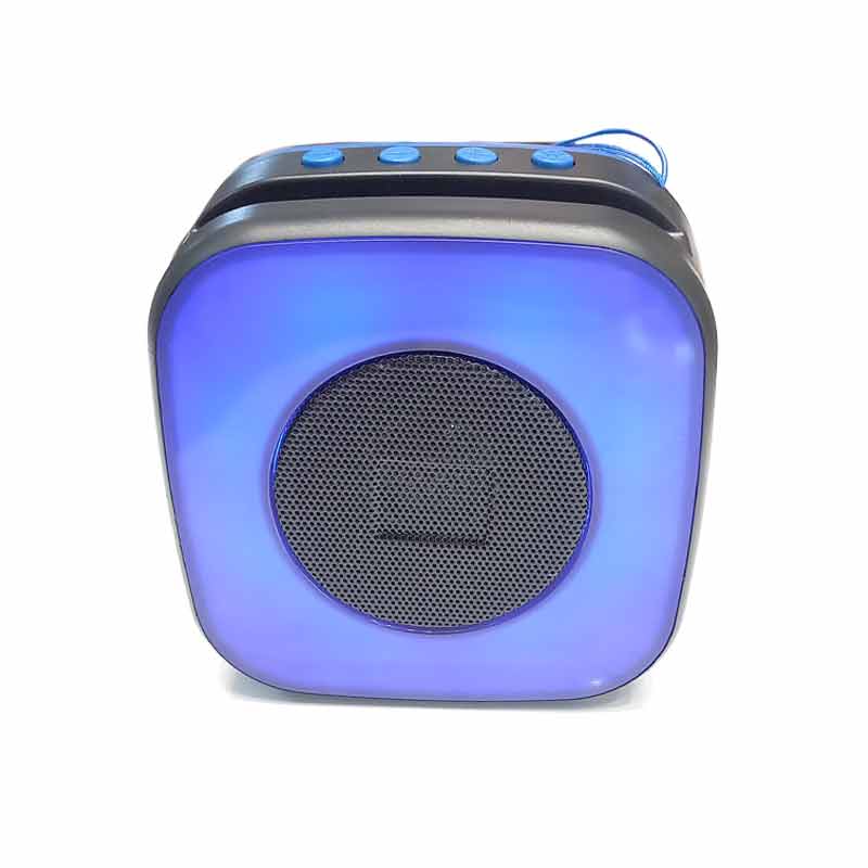 اسپیکر مدل A013 ا  Speaker model A013